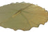 Gold Christmas Tree Skirt